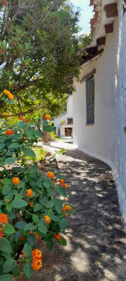 Villa Viagramsci129 à San Teodoro  Extérieur photo